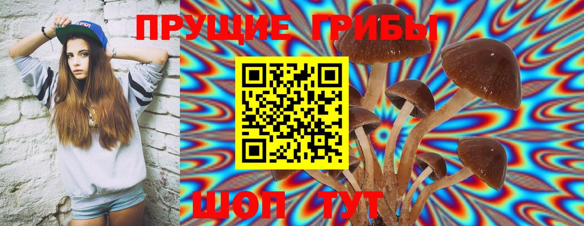 Железногорск  Псилоцибиновые грибы мухоморы  Вход с VPN 